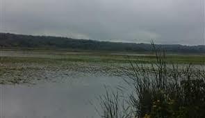 Duck Lake Nature Trail